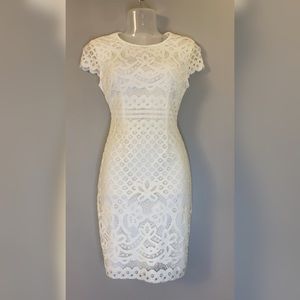 Bisou Bisou Lace Overlay Dress